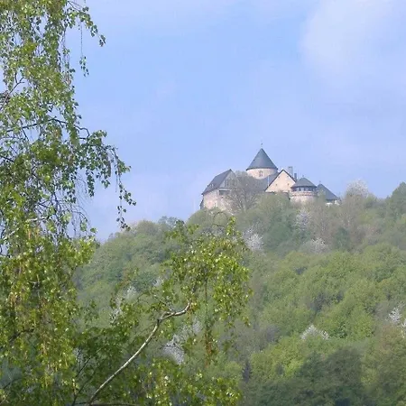 Friedrichs
